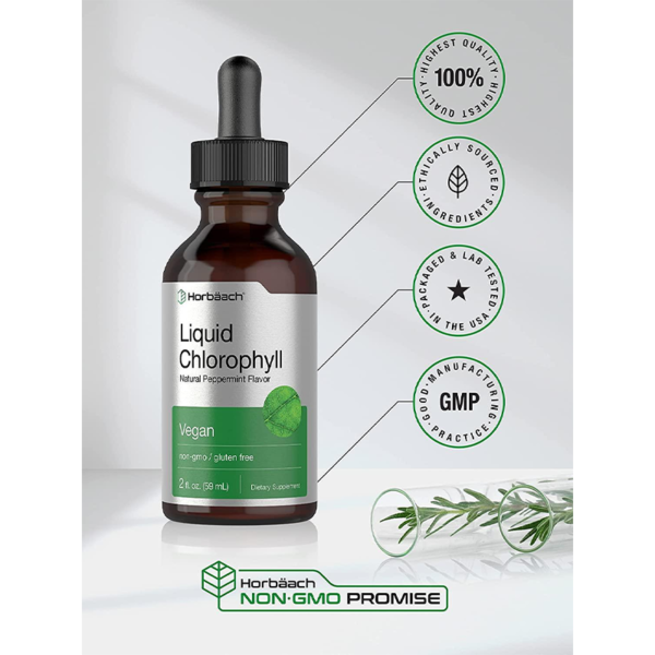 D33B3A7B8FA036FA67E0EC73252F33E3.png Liquid Chlorophyll Drops