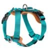 Nylon Outdoor Dog Tactical Harness
